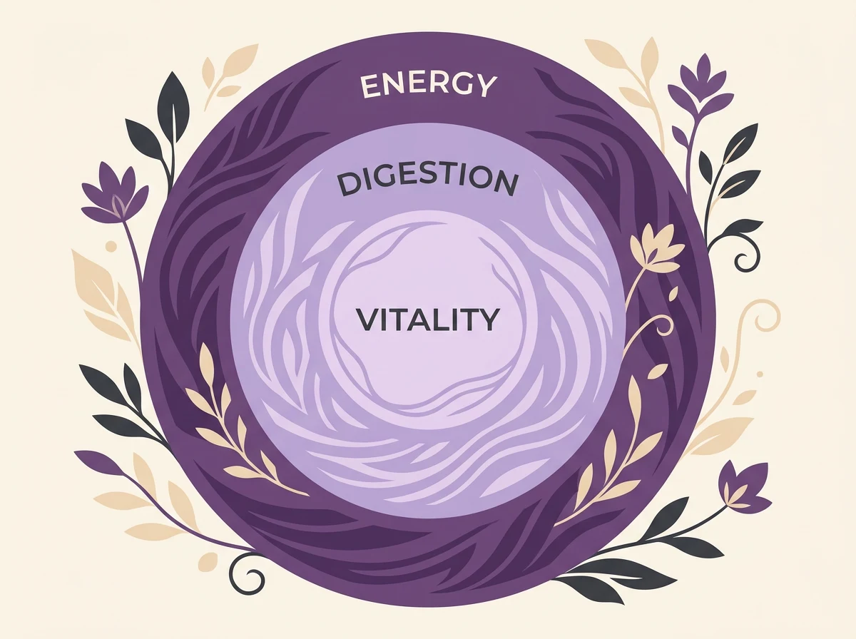 Abstract infographic showing energy, digestion and vitality circles